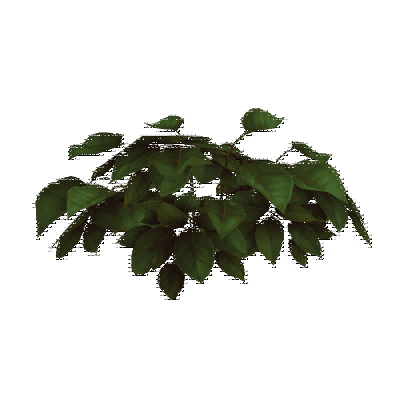 decor_4456_thumbnail