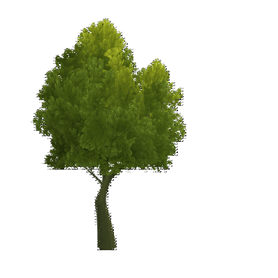 decor_4475_thumbnail