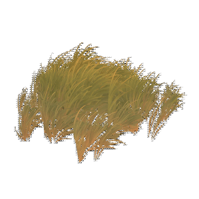 decor_4458_thumbnail