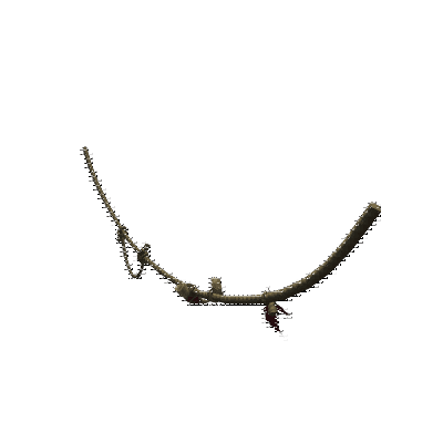 decor_12458_thumbnail