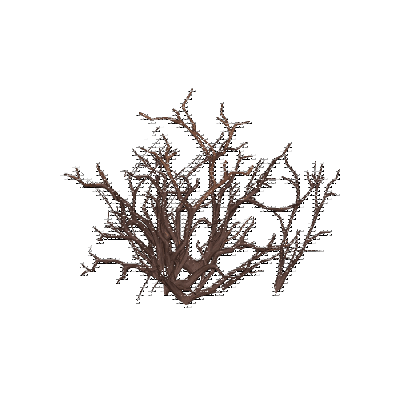 decor_4453_thumbnail