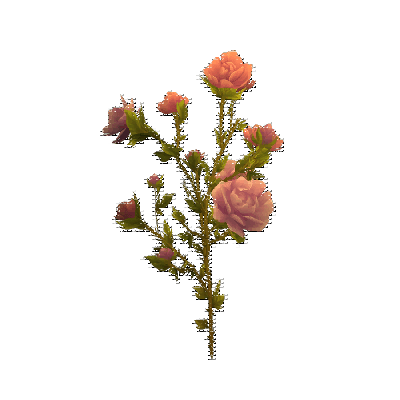 decor_4471_thumbnail