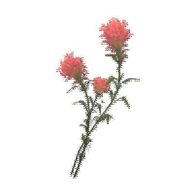 decor_4464_thumbnail