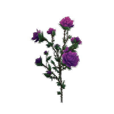 decor_4465_thumbnail