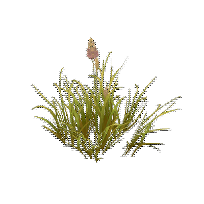 decor_4473_thumbnail