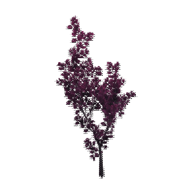 decor_4457_thumbnail