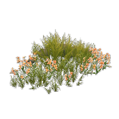 decor_17872_thumbnail