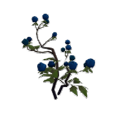 decor_4455_thumbnail