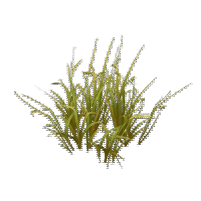 decor_14812_thumbnail