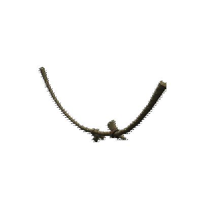 decor_12456_thumbnail