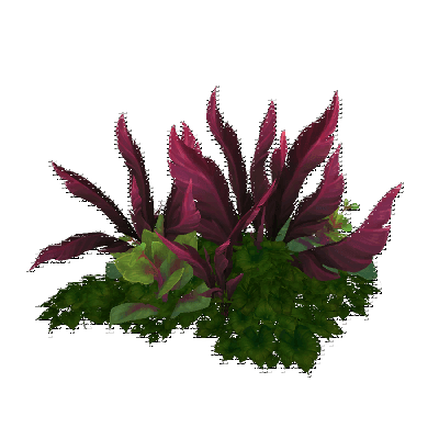 decor_17866_thumbnail