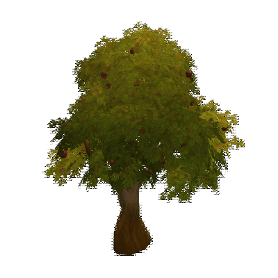 decor_12190_thumbnail