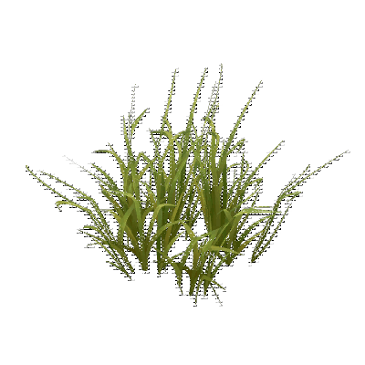 decor_4822_thumbnail