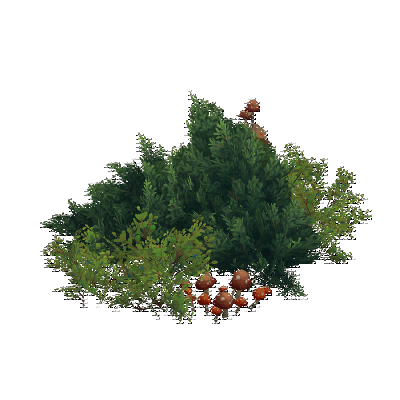 decor_17869_thumbnail