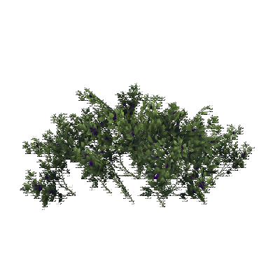 decor_4466_thumbnail