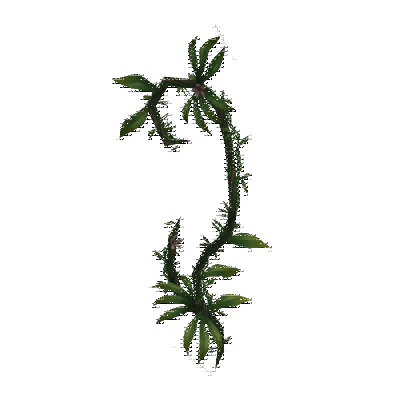 decor_9249_thumbnail