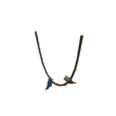 decor_12151_thumbnail