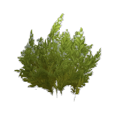 decor_4461_thumbnail