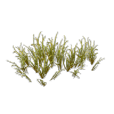 decor_14813_thumbnail