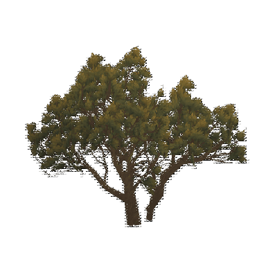 decor_4462_thumbnail