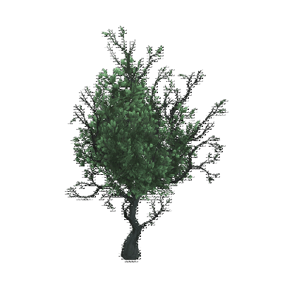 decor_4469_thumbnail