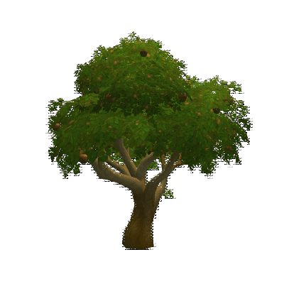 decor_10855_thumbnail