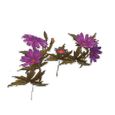 decor_4463_thumbnail