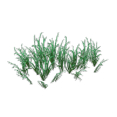 decor_14811_thumbnail