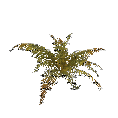 decor_20666_thumbnail