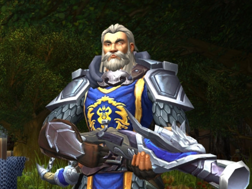 Transfiguración en Veterano de la Alianza para World of Warcraft