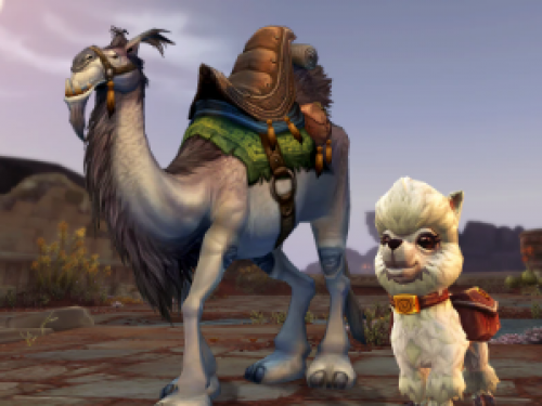 Drops de twitch de Dragonflight: Consigue la mascota locuela y la montura Camello de montar blanco